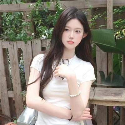 至上之法
