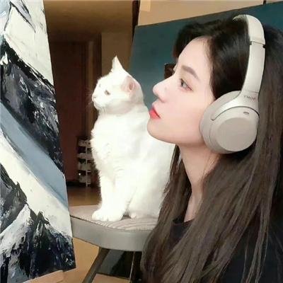 我温柔的斗牛士